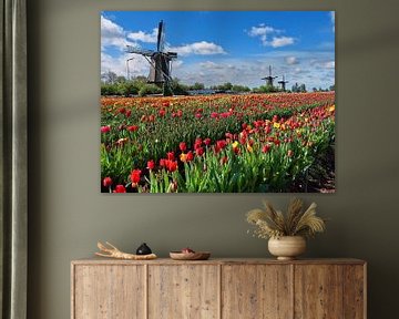 An area with tulips in bloom in spring by Claude Laprise