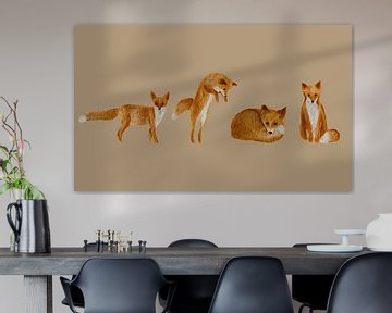 Vier vossen op een rij-aquarelverf illustratie van Atelier Nadine