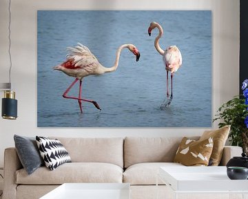 Dansende flamingo's in de Camargue van Beeldpracht by Maaike