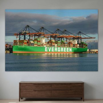 Containerschip Ever Mercy van Evergreen. van Jaap van den Berg