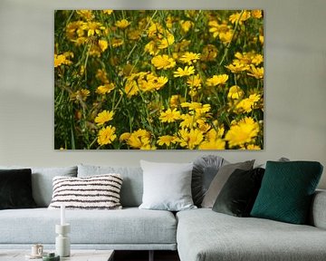 Sunny sea of flowers by Wouter van der Pluym