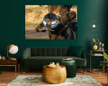 Tree stump in a glass ball