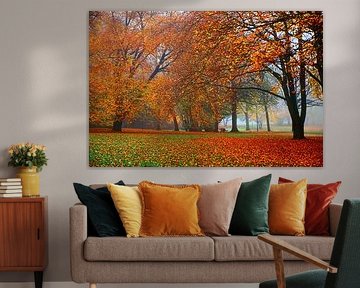 Autumn leaves and fog