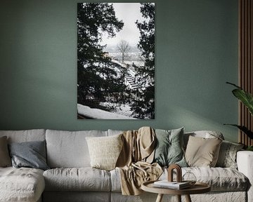 Winter Silent: The Bald Tree and The Little Hill by Melvin Meijer
