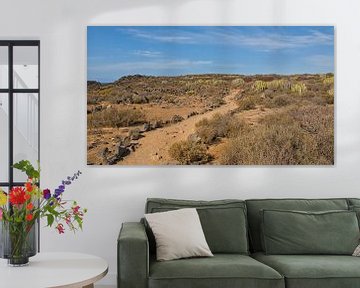 Wandelpad door een vulkanisch landschap in Tenerife van Kristof Lauwers
