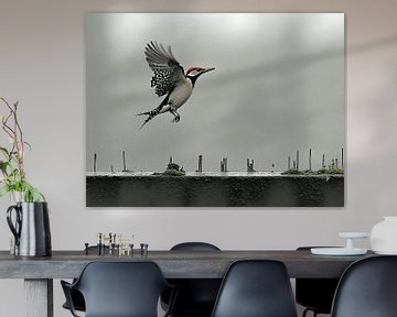 The Dynamics of the Woodpecker by Karina Brouwer