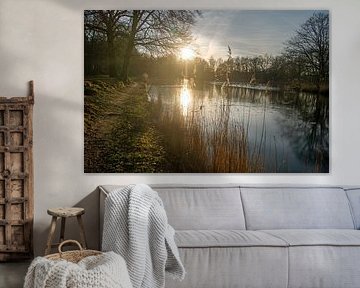 laagstaande zon bij Biltse meertje