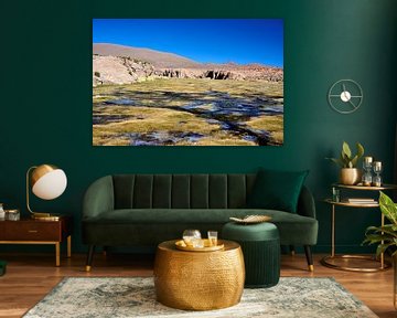 Green oasis in the Bolivian desert by Frank Photos