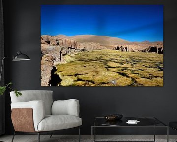 Harmony between rock and Andean vegetation by Frank Photos