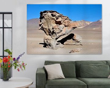 Fascinating landscapes of the Siloli desert