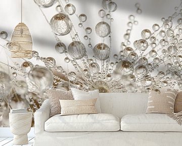 Ländliche Atmosphäre: Winzige Wassertröpfchen hängen an einem Löwenzahnflaum von Marjolijn van den Berg