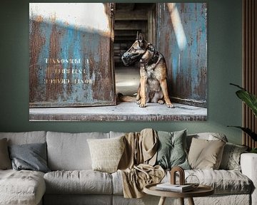 "Legacy Guard' by K9CARDI