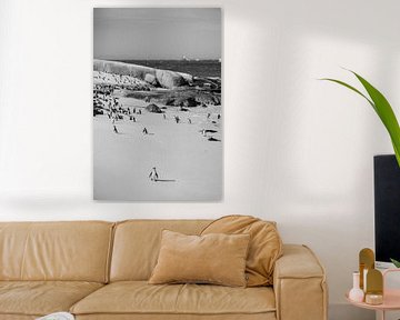 Pinguins bij Boulders Beach, Zuid-Afrika van Inge Bouw