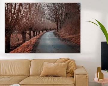 Voel de rustgevende magie van dit herfstwonder!