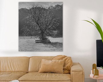Single tree in black and white. by Jose Lok
