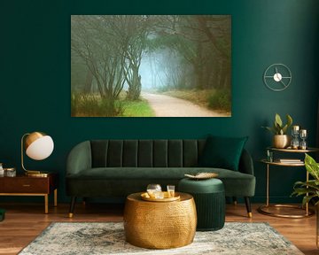 In afwachting van wat komen gaat van LANETfotografie