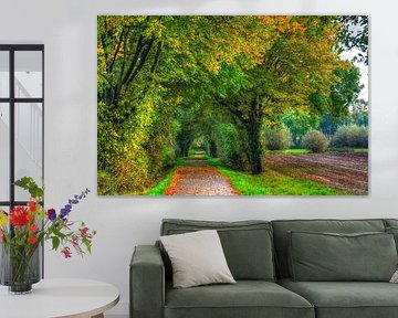 Herfst in Gelsenkirchen-Resse