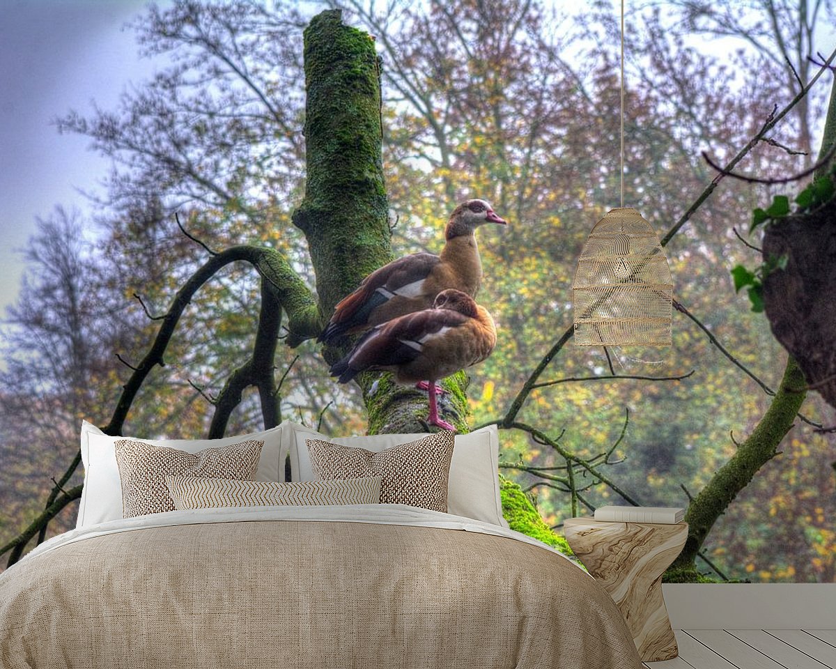 Raumvorschau