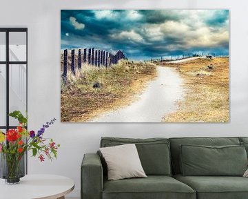 duinen Noord-Holland vintage look van eric van der eijk