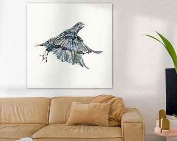 Flying starling- start of flight. by Miriam Eveline