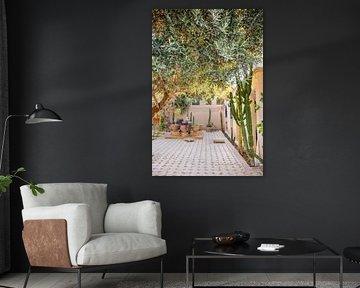 Riad in Morocco with olive tree by Bianca Kramer