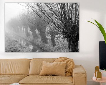 Knotwilgen in de mist