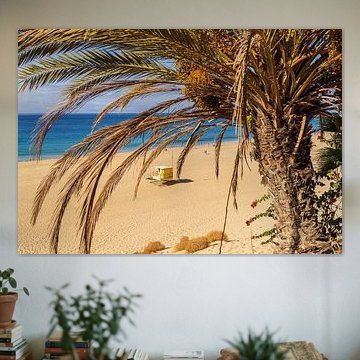 Playa del Matorral, Morro Jable, Fuerteventura