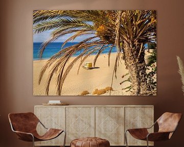 Playa del Matorral, Morro Jable, Fuerteventura von Marloes ten Brinke