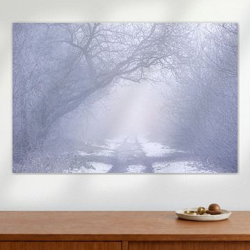 Un matin d'hiver brumeux, froid et magique dans la réserve naturelle de Maashorst