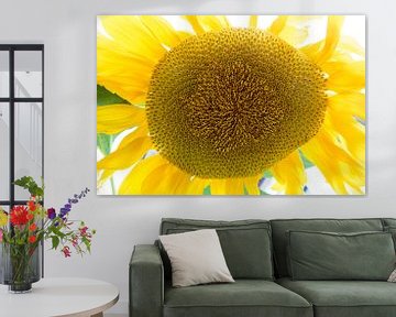 Autumn with sunflower by Roelof Foppen