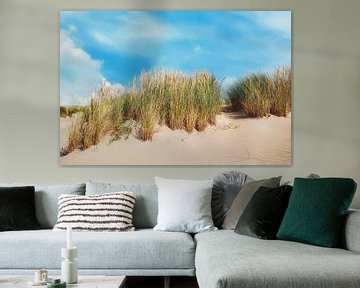 kust van Texel met de duinen van eric van der eijk