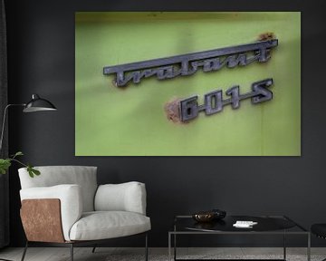 Trabant 601s van Richard Wareham