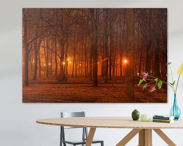 Lights in a scary forest