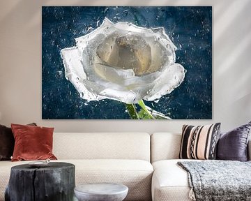 Roos in water van Hanny Andela - Andelafotografie