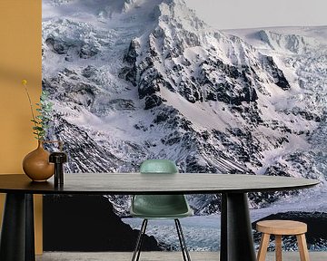 The Icy Valley The Power of Glaciers in a Pristine Landscape by Femke Ketelaar