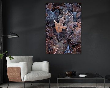 Bevroren Schoonheid: Close-Up van Bladeren met IJskristallen van Hevonax Photography