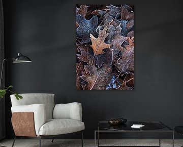 Frozen Beauty: Close-Up of Leaves with Ice Crystals by Hevonax Photography