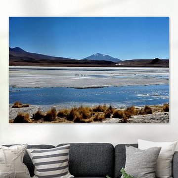 Laguna Hedionda: een oase in het hart van de woestijn