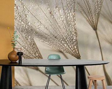 Rural ambience: Fluff with tiny water droplets by Marjolijn van den Berg