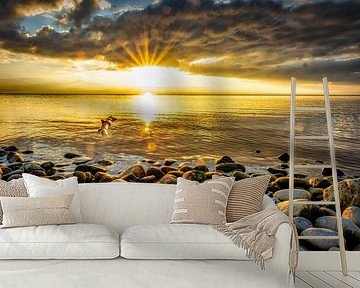 Sunset on Lake Constance with pebble beach by Dieter Walther