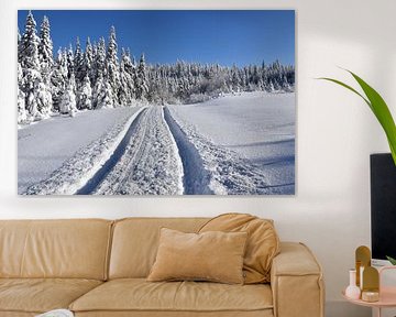 Tracks on the road in winter by Claude Laprise
