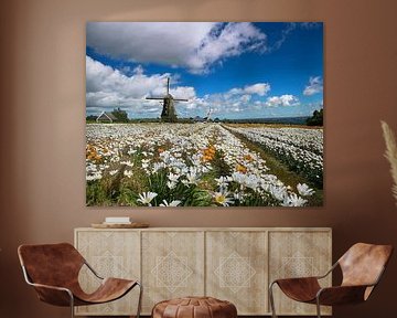 Ein Gebiet mit blühenden Tulpen im Frühling