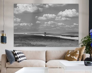 de kiekkaaste in zwart wit, vogelhut van M. B. fotografie