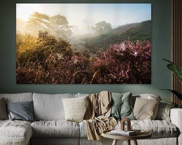 Bezauberndes Heidefeld bei nebligem Sonnenaufgang: Natürliche Eleganz im Detail von Hevonax Photography