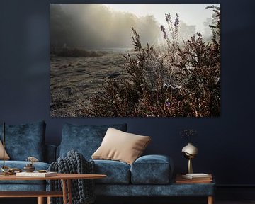 Zartes Spinnennetz im Morgennebel: Naturperlenketten auf der Heide von Hevonax Photography