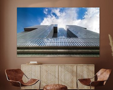 Imposing Architecture: The Rotterdam from a Frog's perspective