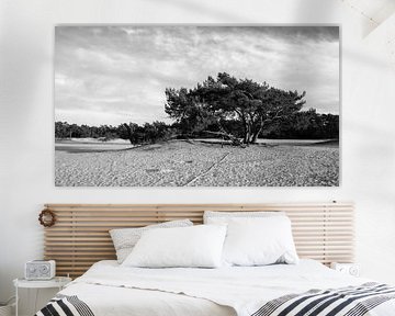 Einsamer Baum auf einer sandigen Ebene: Zeitlose Schönheit in Schwarz und Weiß von Hevonax Photography