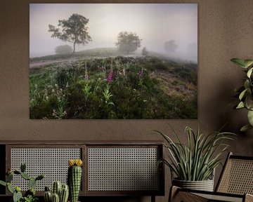 Mystische Landschaft mit Fingerhut: Ein Moment natürlicher Gelassenheit von Hevonax Photography