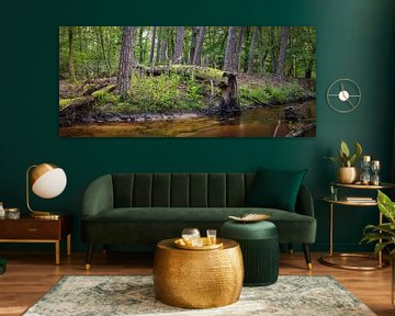 Boslandschap met Vingerhoedskruid en Omgevallen Boom: Een Moment van Natuurlijke Harmonie van Hevonax Photography