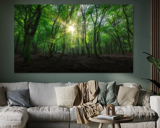 Aperçu de la chambre